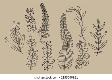 Set of decorative leaves. Various vector branches. Simple stencils. Stock illustration