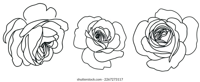 Set of decorative line art rose isolated on white. Vintage flowers. Vector stock illustration