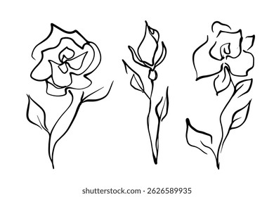 Conjunto de flores de doodle lineal decorativo y capullos de rosa. Elementos botánicos Abstractas.