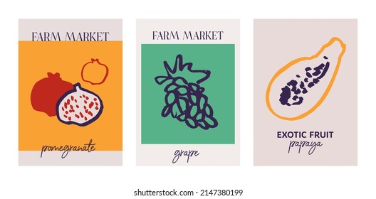 Set of decorative modern abstract posters with exotic fruits, tropical food, still lifes. Collection of color art prints drawn with line for wall decor, brochure covers, notebooks. Vector illustration