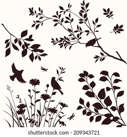 Set of decorative nature elements. Vector branches of tree, flower and birds silhouette. 