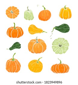 Set of decorative orange and green pumpkins. Hand drawn sketch vector autumn illustration. Thanksgiving Day, halloween Holiday background. Harvest