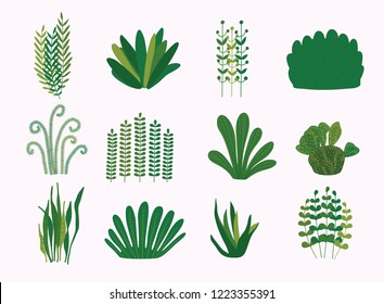 Set of decorative plant. Green concept. Flat vector illustration.