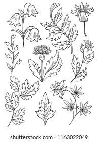 Set of decorative plants and flowers elements. 
