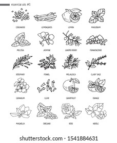 Set of decorative plants, flowers  for essential oils. Black and white hand-drawn objects for aromatherapy on a white background. Alternative medicine medicine and cosmetology. Vector illustration