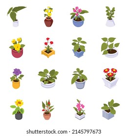 Set of Decorative Plants Isometric Icons 

