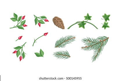 Download Christmas Ivy Images Stock Photos Vectors Shutterstock Yellowimages Mockups