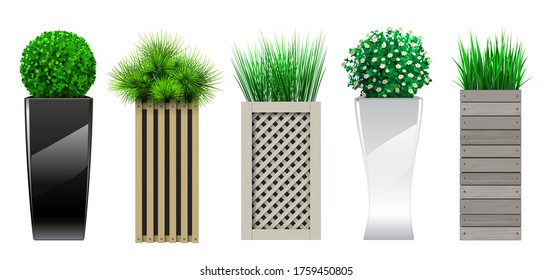 Conjunto de plantas decorativas en macetas de diferentes tamaños y colores en gráficos vectoriales