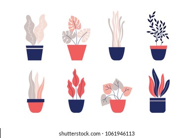 Set of decorative plants in various pots on white background. Vector illustration.