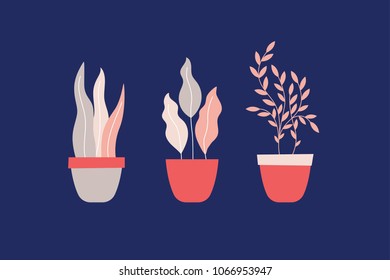 Set of decorative plants in various pots on blue background. Vector illustration.