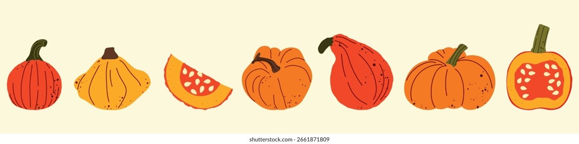 Conjunto de calabazas decorativas en varias Formas y colores. Ilustraciones vectoriales para diseños con temática de otoño, decoraciones de Acción de Gracias, proyectos de Halloween, tarjetas de felicitación, empaques, invitaciones. 