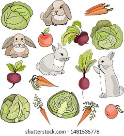 set decorative rabbits and cabbage carrot beet apple