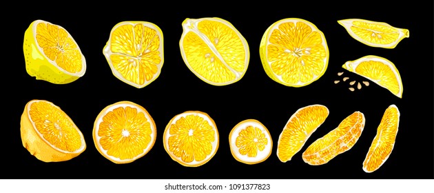 Set with decorative realistic vector design drawing citrus fruit elements of lemon and orange. There are halves, circle shape slices, long size orange slices and carved lemon slices, and seeds. 
