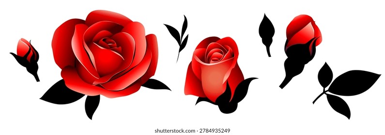 Set of decorative red rose bud and black leaf. Vintage flower design elements collection isolated on white. Vector stock illustration