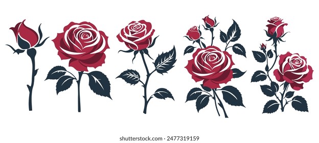 Set of decorative red rose with leaves. Vector illustration