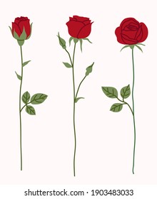 Set von dekorativer roter Rosensilhouette mit grünen Blättern. Vektorgrafik. Blumensymbol	