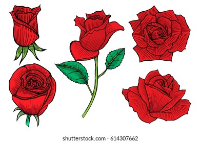 Set of decorative red roses. Beautiful realistic flowers. Vector illustration