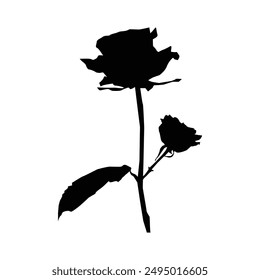 Set of decorative rose with leaves. Flower silhoutte. Vector illustration