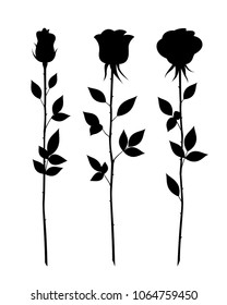 Set of decorative rose with long stem. Vector flower silhouette