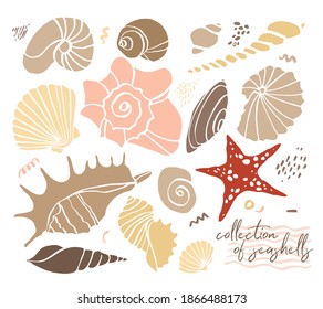 Set of decorative seashells in cut out shapes style isolated on a white background. Collection of silhouettes of underwater elements with abstract spots. Decor, stickers, craft. Vector illustration.