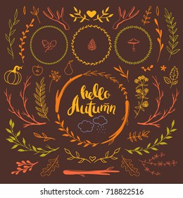 Set of decorative seasonal elements for autumn holidays. Vector hand drawn rustic floral doodles. 
