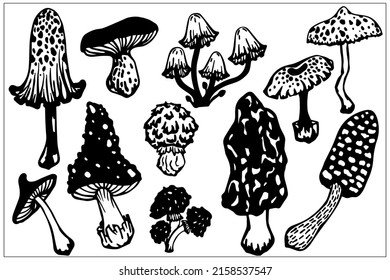 Set of decorative sketches of toadstools, mushrooms. Stylized vector graphics.