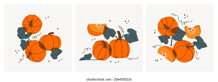 Set of decorative still lifes with bright orange pumpkins. Hand drawing slices, twigs and leaves, vegetable fruits. Ideal for print, posters, postcards, design creation. Vector trendy triptych.