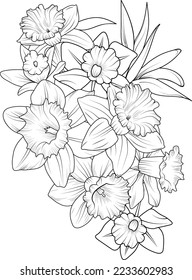 Montaje de una flor decorativa estilizada aislada sobre fondo blanco. Ilustración vectorial muy detallada, estilo garabato y zentángulo, y diseño de tatuajes. Esbozo vectorial de flores daffodil. libro de colorear