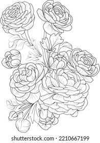 Set of decorative stylized outline Dalia flower isolated on white background. bouquet of ranunculus, Buttercup flower Highly detailed vector illustration sketch engraved ink art coloring book page.