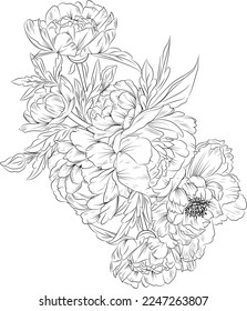 Set of a decorative stylized peony flower isolated on white background. Highly detailed vector illustration, doodling and zentangle style, tattoo design blossom peony lowers.