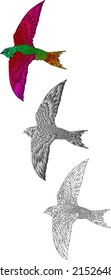 Set Of Decorative Swift Bird Gliding With Open Wing, Isolated Against White. Vector Illustration.