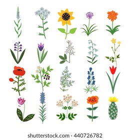 Set of decorative vector plants