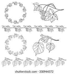 Set of decorative vintage borders. Vector brushes. Hand drawn.Maple, linden. 