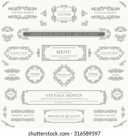 Conjunto de elementos decorativos de diseño vintage para el diseño de etiquetas, logotipo y emblema.