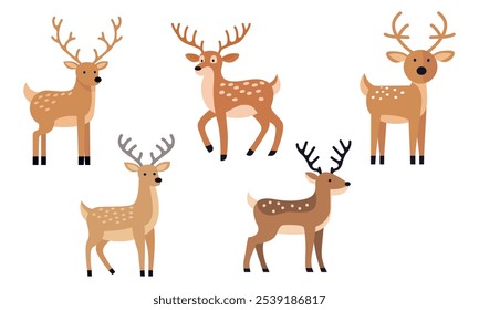 A set of deer with antlers. On a white background.