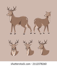 Set of deer. Different views from different sides. Deer head in different positions. Cartoon stylewith black solid outline.
