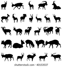 Set of Deer and Goats Silhouettes in Different Poses. High Detail, Very Smooth. Vector Illustration. 