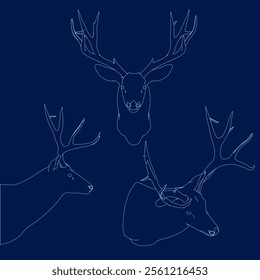 Set deer head outline. Vector illustration. Side, front, isometric view