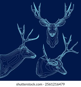 Set deer head outline. Vector illustration. Side, front, isometric view