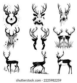 set of deer head. Reindeer head isolated vector illustration. Wild animal. Hunting logo.