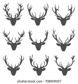 Set Deer Heads, Collection Stag Horns, Isolated on White Background - illustration Vector