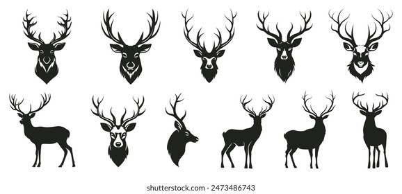 Set of deer heads with horns,