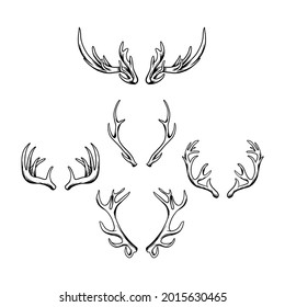 Set of deer horn vector illustration
