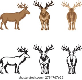 Set deer illustrations 