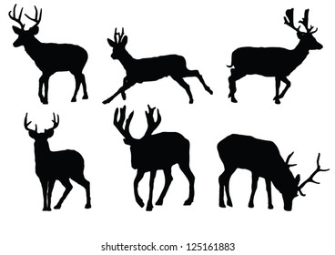 The set of Deer silhouette