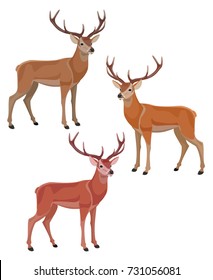 Set of deers. Color variants. Vector illustration.