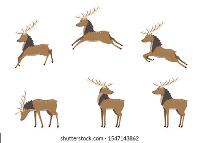 A set of deers in differet poses. Deer jump, fly and stand. Cute deer with antlers in flat cartoon style. Christmas and New Year decoration element. Isolated vector illustration.