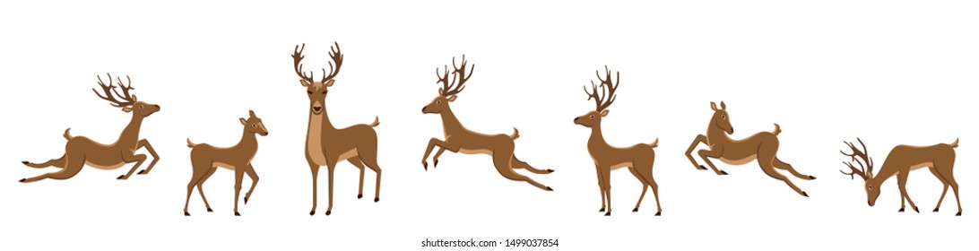 Set of Deers Isolated. Sika Deers, Reindeers, Stags