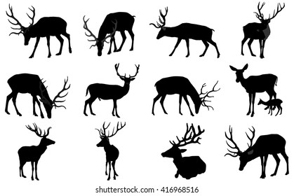 Set of deers vector silhouette illustration, isolated on white background.