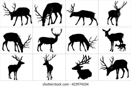 Set of deers vector silhouette illustration, isolated on white background.